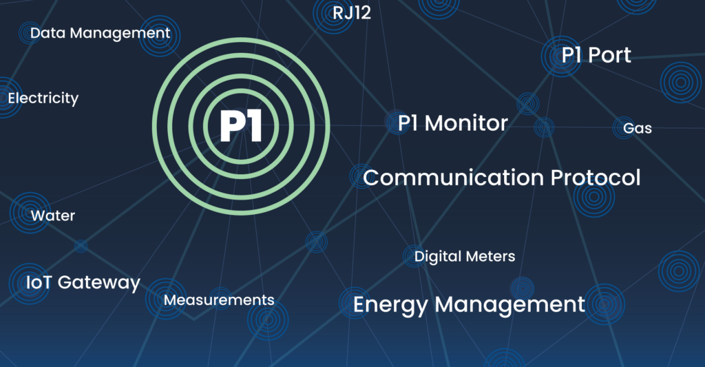 P1 monitor